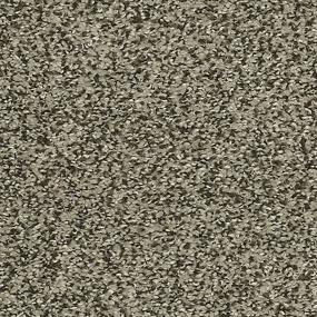 Textured Saxony Rockport Brown Carpet