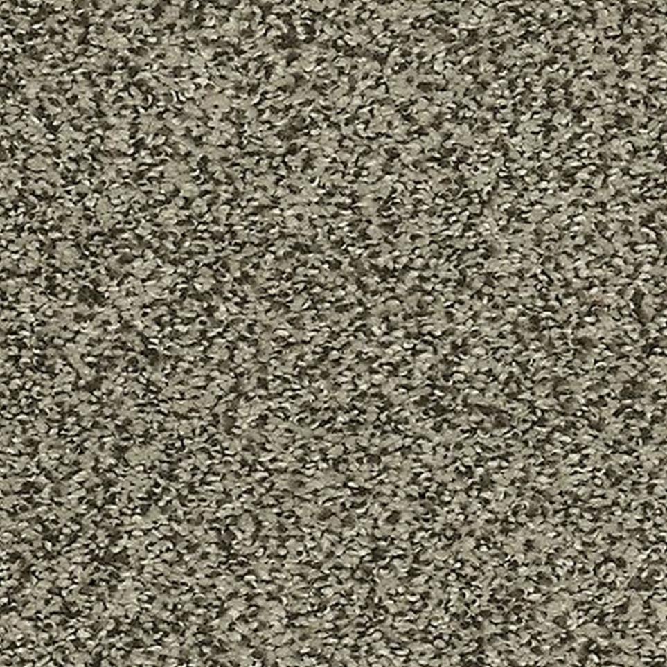 Textured Saxony Rockport Brown Carpet