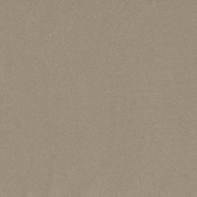 Textured Saxony Beach Front Brown Carpet