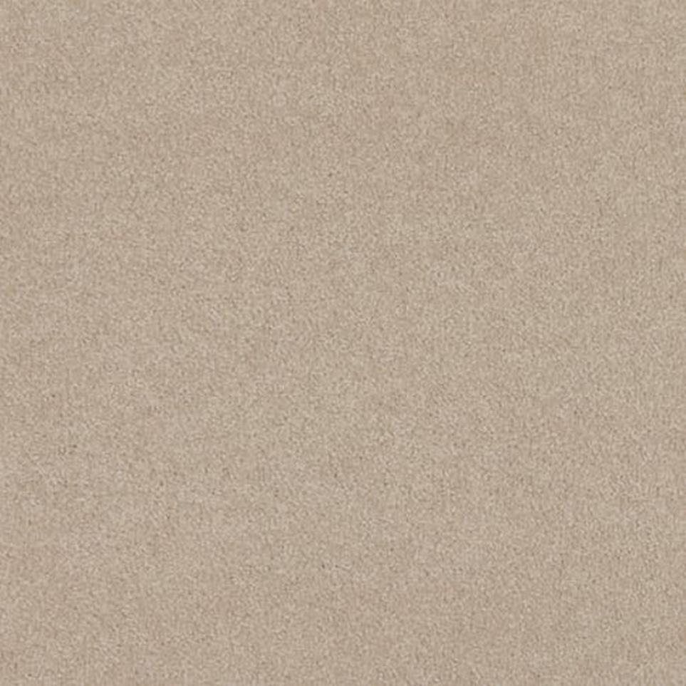 Textured Saxony Sapling Beige/Tan Carpet
