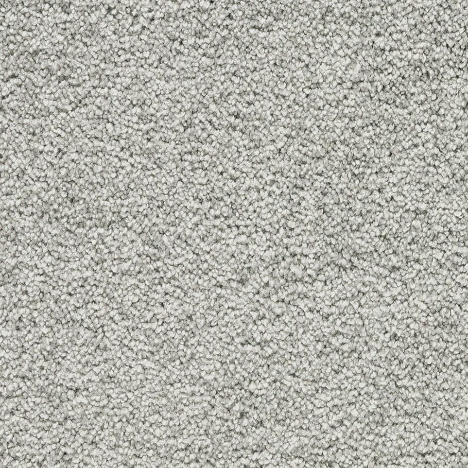Textured Saxony Wooly Betony Gray Carpet