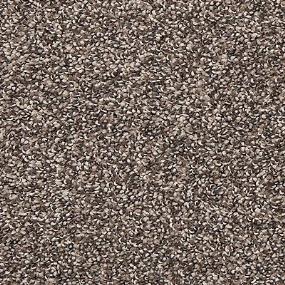 Textured Saxony Dark Mocha Gray Carpet