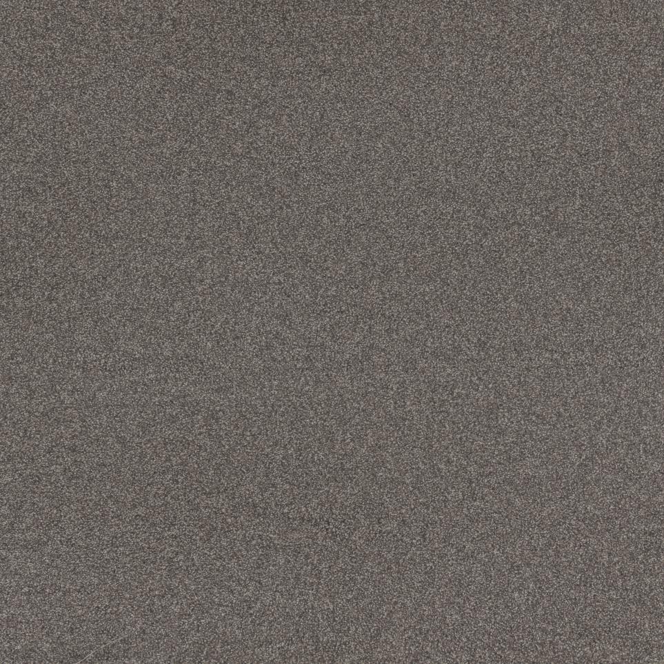 Textured Saxony Dark Mocha Gray Carpet