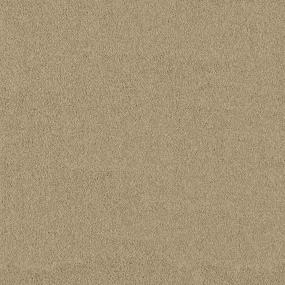 Textured Saxony Dogwood Beige/Tan Carpet