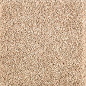 Textured Saxony Dogwood Beige/Tan Carpet