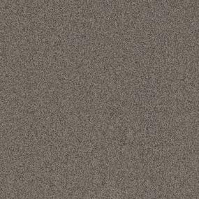 Textured Saxony Metallic Beige/Tan Carpet