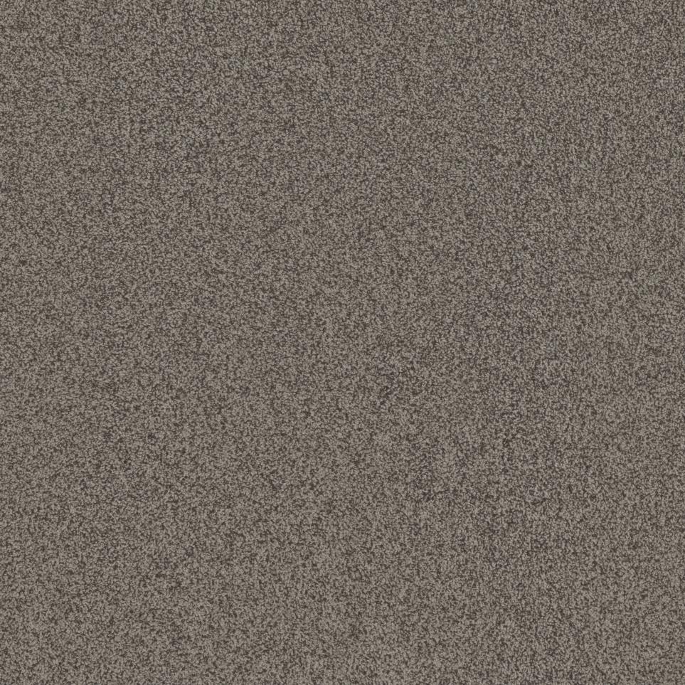 Textured Saxony Metallic Beige/Tan Carpet