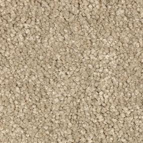 Texture Nutria Beige/Tan Carpet