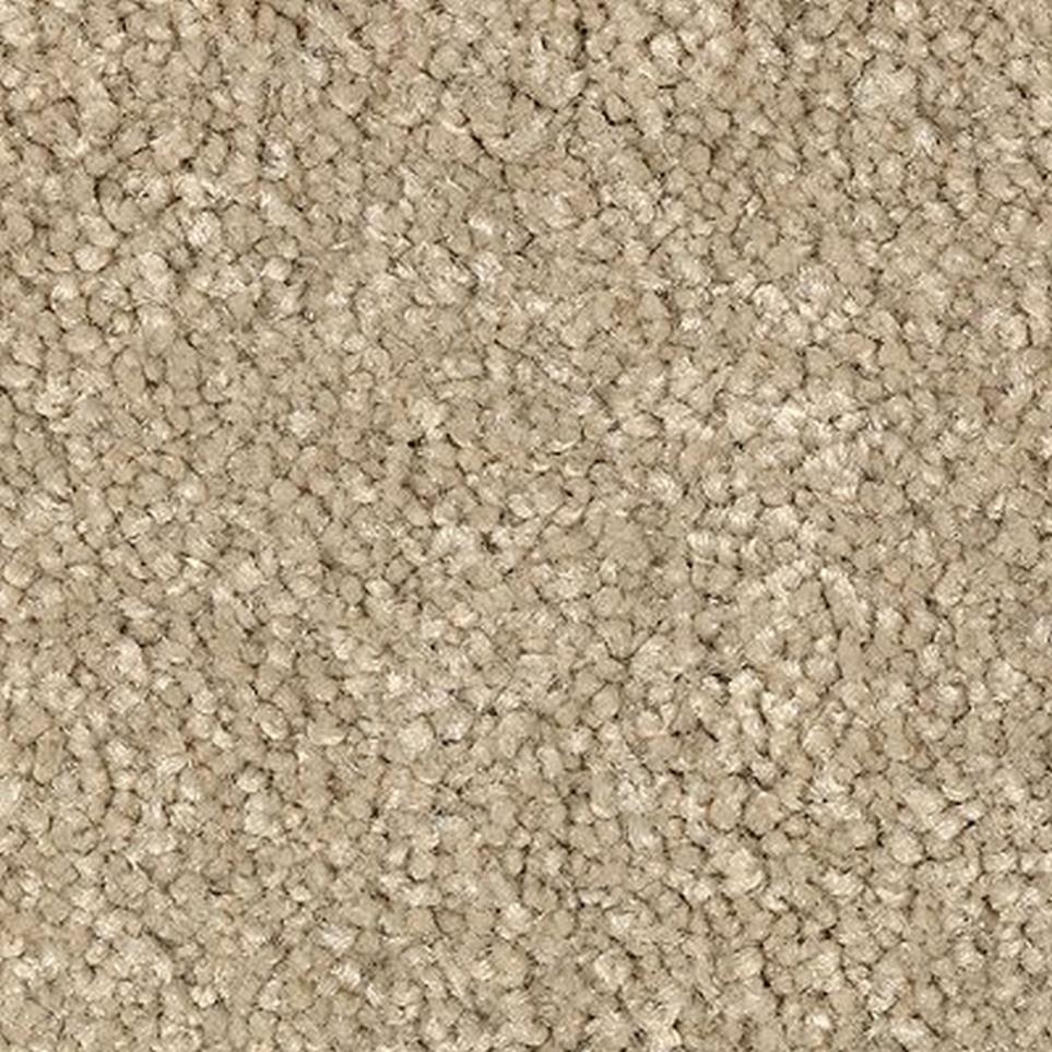 Texture Nutria Beige/Tan Carpet