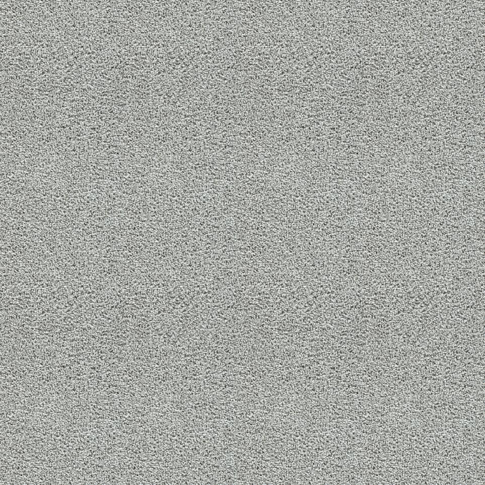 Textured Saxony Tradition Gray Carpet