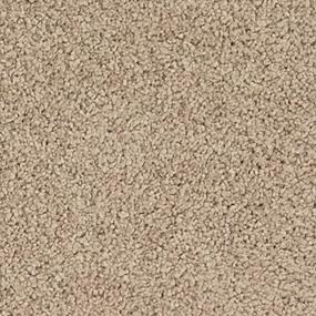 Textured Saxony Isabeline Beige/Tan Carpet