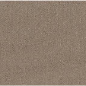 Pattern Broth Beige/Tan Carpet