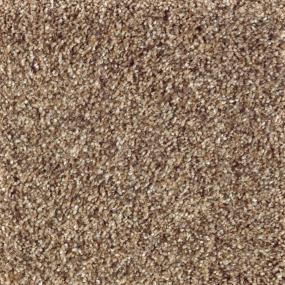 Textured Saxony Party Mix Beige/Tan Carpet