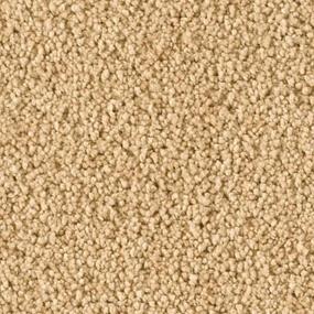 Textured Saxony Silent Hills Brown Carpet