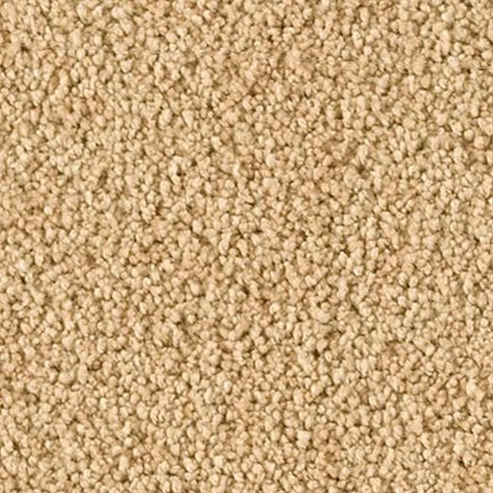 Textured Saxony Silent Hills Brown Carpet