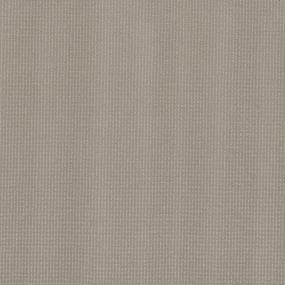 Pattern Schooner Gray Carpet