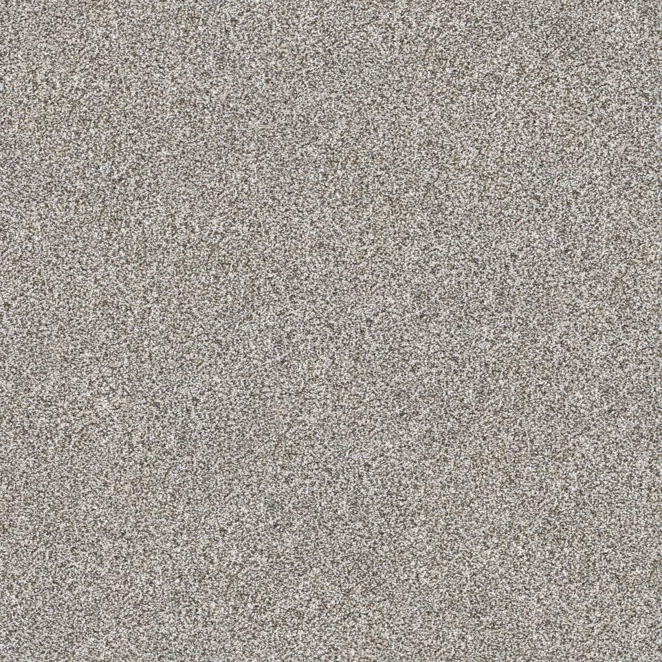 Textured Saxony Driftwood Beige/Tan Carpet