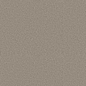 Textured Saxony FOSSIL PATH Gray Carpet