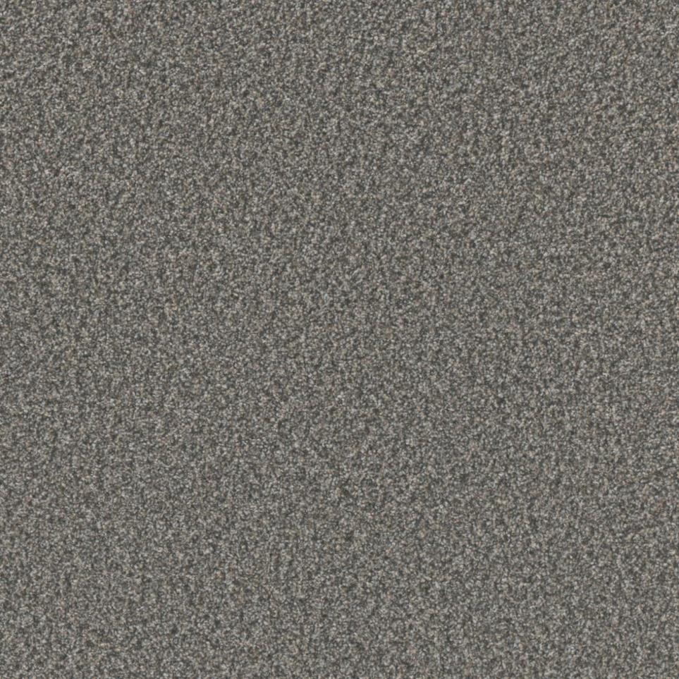 Textured Saxony Validity Gray Carpet