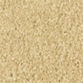 Casual Texture Luminous Beige/Tan Carpet