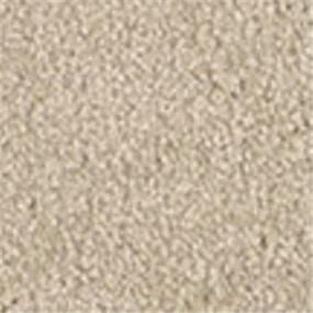 Casual Texture Alphano Beige/Tan Carpet