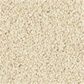 Casual Texture Dunes Beige/Tan Carpet