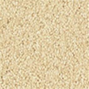 Casual Texture Beach Comber Beige/Tan Carpet