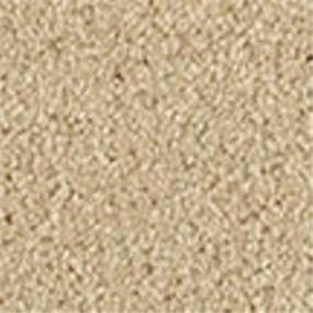 Casual Texture Low Tide Beige/Tan Carpet