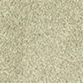 Casual Texture Glade Beige/Tan Carpet