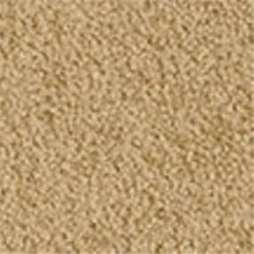 Casual Texture Byzantine Beige/Tan Carpet