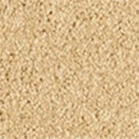 Casual Texture Ambiance Beige/Tan Carpet