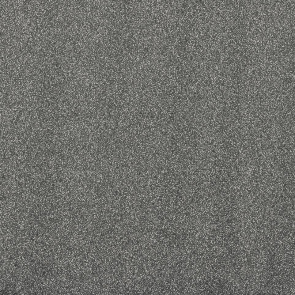 Texture Onyx Gray Carpet