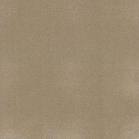 Textured Saxony Rattan Beige/Tan Carpet