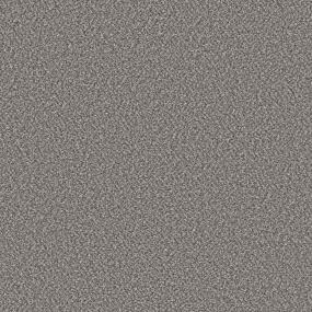 Casual Texture Tin Can Beige/Tan Carpet