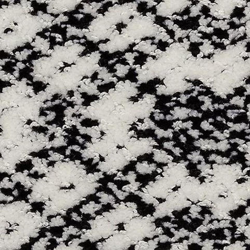 Pattern Hidden Gem Black Carpet