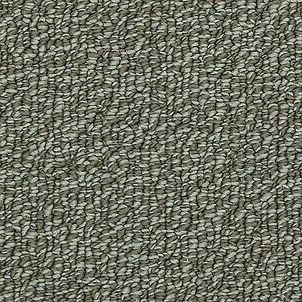 Loop Wabasso Gray Carpet