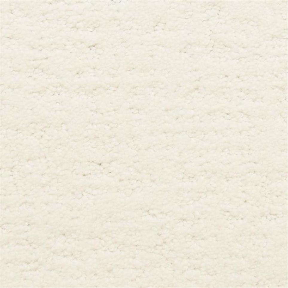 Pattern Paradise White Carpet
