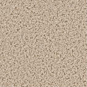 Textured Saxony Creative Beige/Tan Carpet