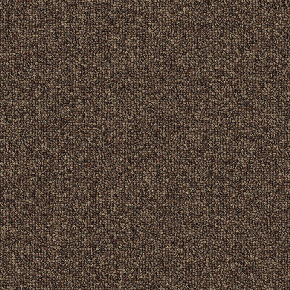 Cut/Uncut Birch Brown Carpet