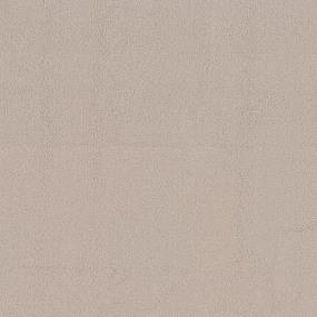 Casual Texture Ray Beige/Tan Carpet