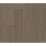 Meditative Oak