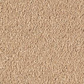 Textured Saxony Illusion Beige/Tan Carpet