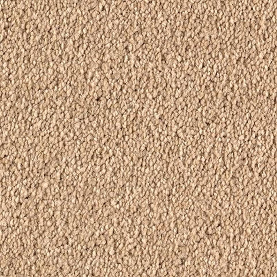Textured Saxony Illusion Beige/Tan Carpet