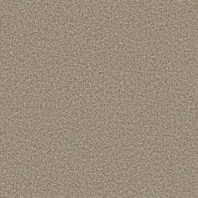 Textured Saxony Pier Beige/Tan Carpet