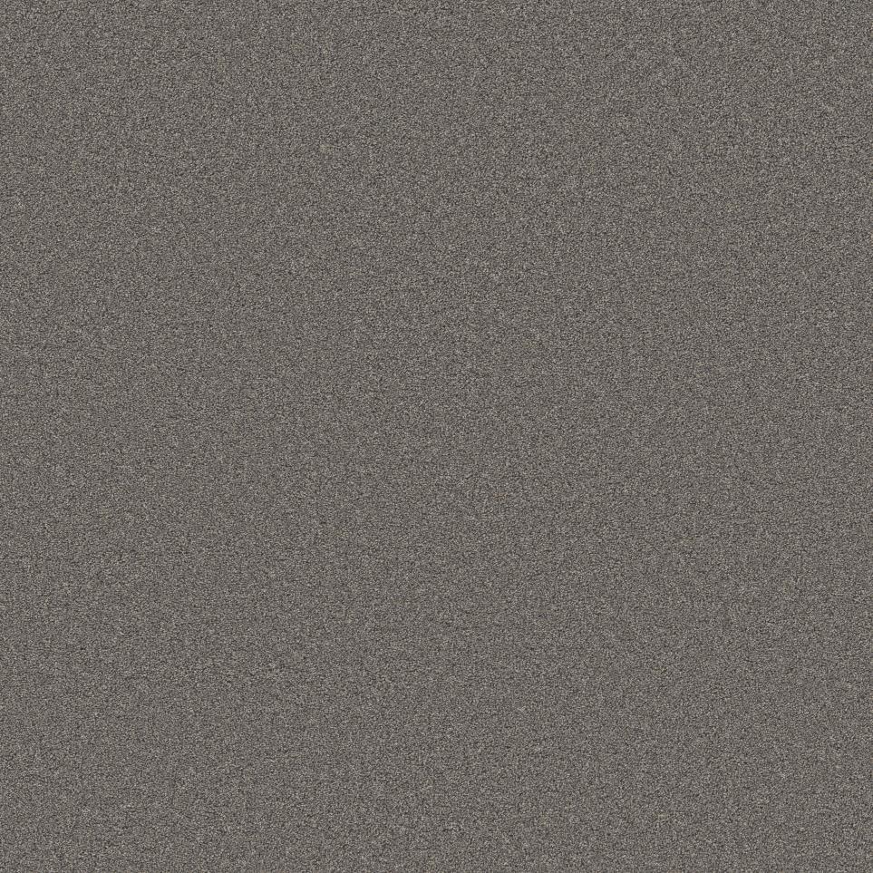 Texture Sleeping Bear Brown Carpet