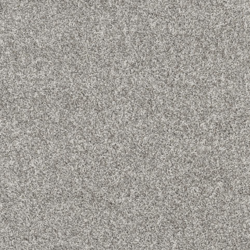 Frieze Fog Horn Beige/Tan Carpet