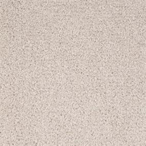 Textured Saxony Abundance Beige/Tan Carpet