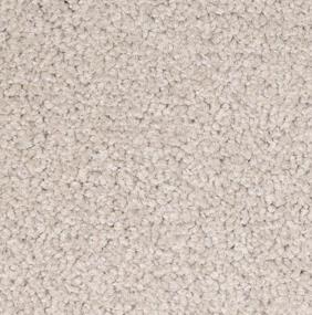 Textured Saxony Abundance Beige/Tan Carpet