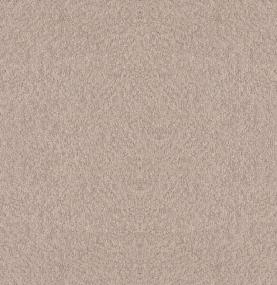 Pattern Barely There Beige/Tan Carpet