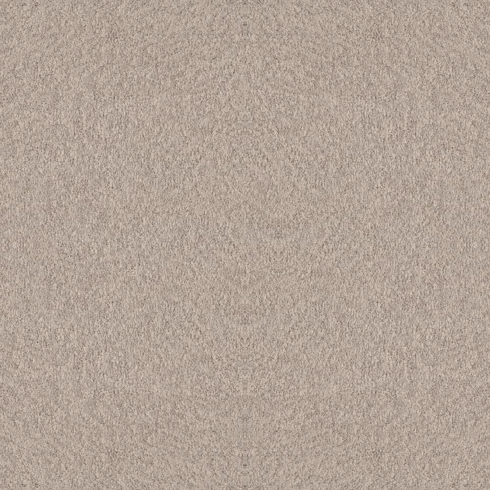 Pattern Barely There Beige/Tan Carpet